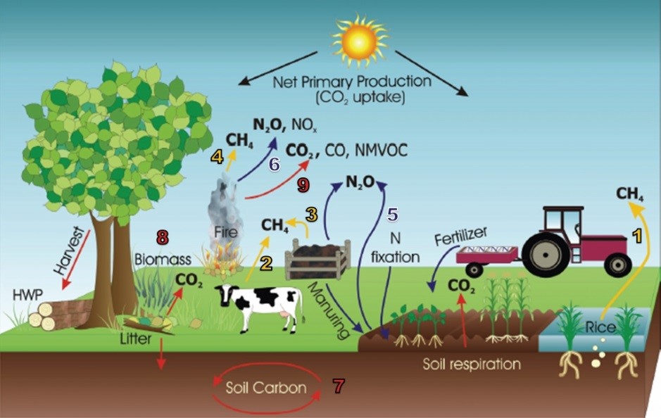 Manejo Do Solo E O Sequestro De Carbono Assifertors 8946